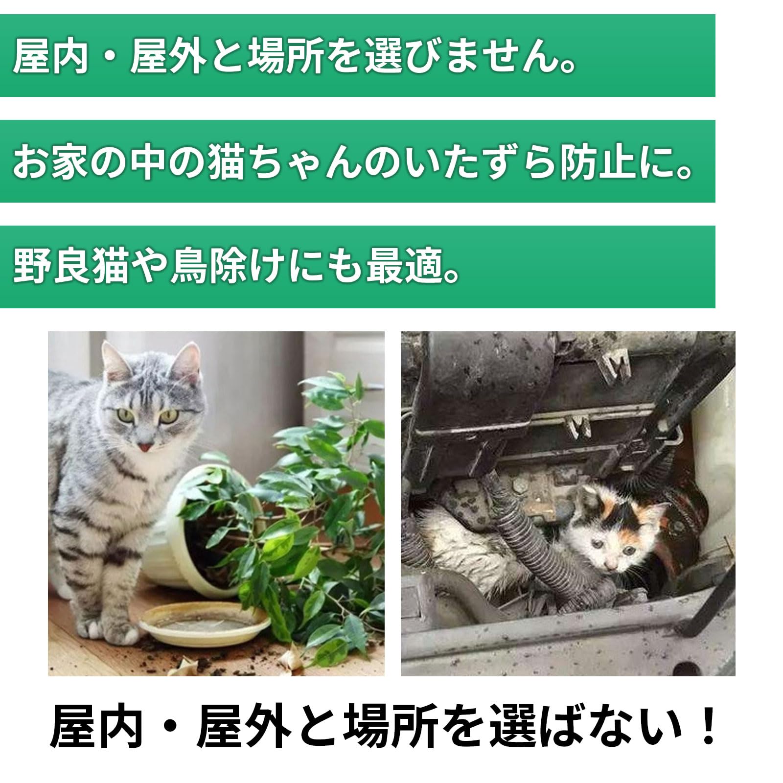Amazon | ISEFUJI 猫よけ シート トゲシート ここダメシート 棘マット